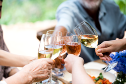 People sitting around table toasting with wine glasses